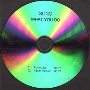Sono - What You Do flac