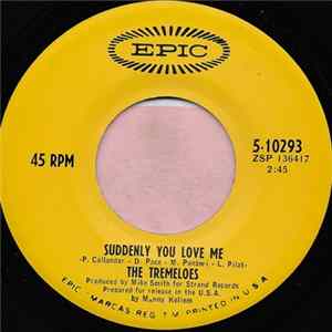 The Tremeloes - Suddenly You Love Me flac