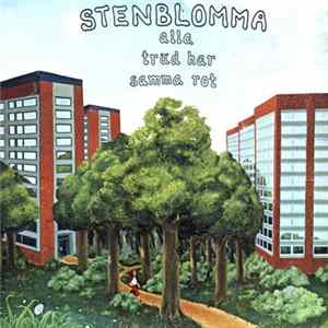 Stenblomma - Alla Träd Har Samma Rot flac