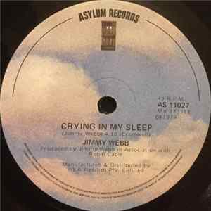 Jimmy Webb - Crying In My Sleep flac