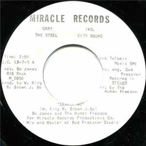 Bo James And The Human Freedom - Searching / Falling In Love Again flac