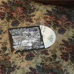 13 Bats - Dust flac