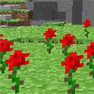 Pink Noise Ordinance - I Slept In A Field flac