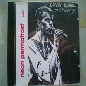 David Bowie - Neon Permafrost Part 1 flac