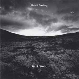 David Darling - Dark Wood flac
