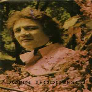 Dorin Teodorescu - Canțonete flac
