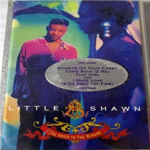 Little Shawn - The Voice In The Mirror flac