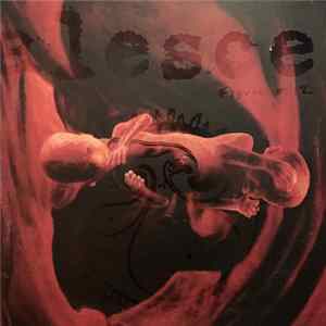 Coalesce - 0:12 Revolution In Just Listening flac
