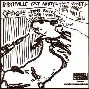 Birchville Cat Motel / Opaque - Untitled flac