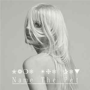 Name The Pet - Get On The Bus flac