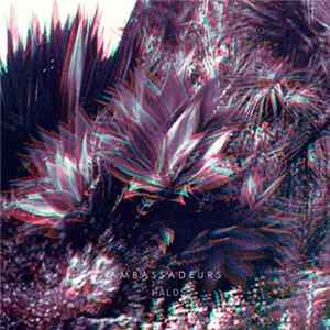 Ambassadeurs - Halos flac