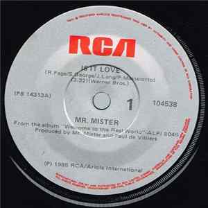 Mr. Mister - Is It Love flac