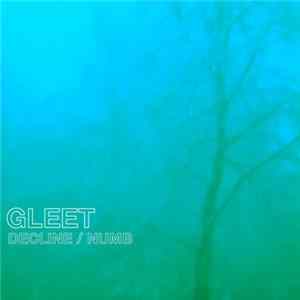 Gleet - Decline / Numb flac