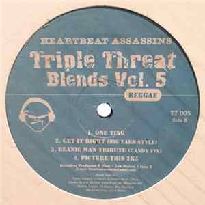 Heartbeat Assassins - Triple Threat Blends Vol. 5 flac