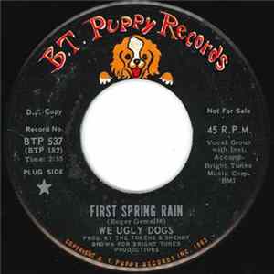 We Ugly Dogs - First Spring Rain flac