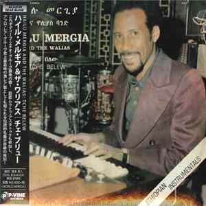 Hailu Mergia And The Walias - Tche Belew flac