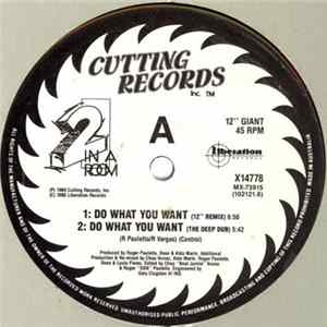 2 In A Room - Do What You Want flac