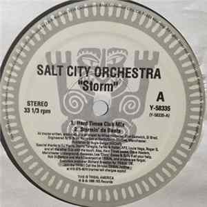 Salt City Orchestra - Storm flac