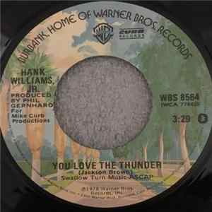 Hank Williams Jr. - You Love The Thunder flac