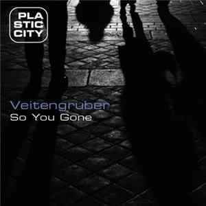 Veitengruber - So You Gone flac