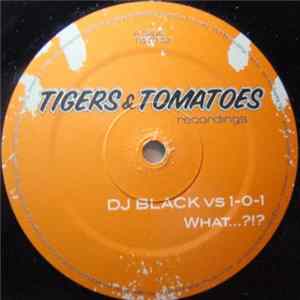 DJ Black vs. 1-0-1 - What...?!? flac