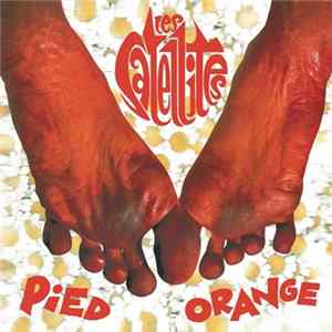 Les Satellites - Pied Orange flac