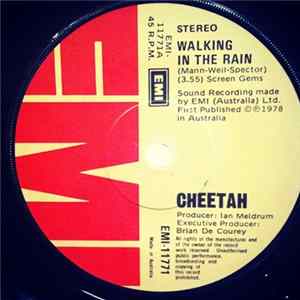 Cheetah - Walking In The Rain flac