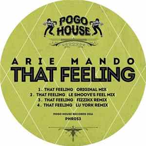 Arie Mando - That Feeling flac