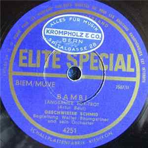 Geschwister Schmid, Walter Baumgartner Und Sein Orchester - Bambi / Perry flac