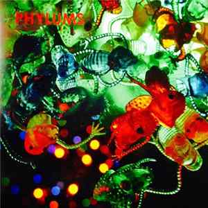 Phylums - Phylum Phyloid flac