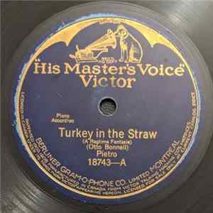 Pietro - Turkey In The Straw / Russian Rag flac
