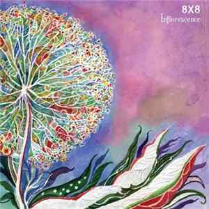 8x8 - Inflorescence flac