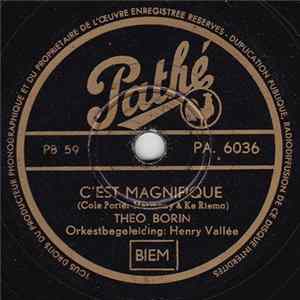 Theo Borin - C'Est Magnifique flac