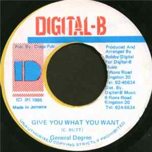 General Degree - Give You What You Want flac