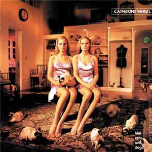 Catherine Wheel - Like Cats And Dogs flac