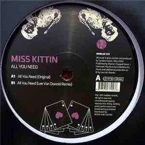 Miss Kittin - All You Need flac