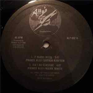 Prince Ally And Safkia Kirften, Prince Ally And Mark White - It Burns Inside / Ain't No Sunshine flac