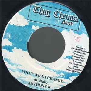 Anthony B - What Will I Change flac