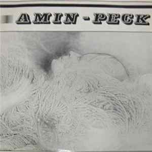 Amin-Peck - Girls On Me flac