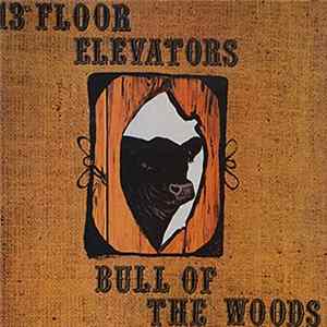 13th Floor Elevators - Bull Of The Woods flac