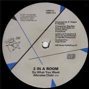2 In A Room - Do What You Want ( David Morales Remixes) flac