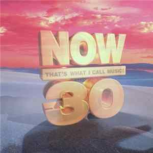 Various - Now That's What I Call Music! 30 flac