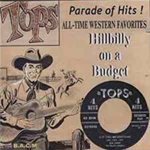 Various - Hillbilly On A Budget flac