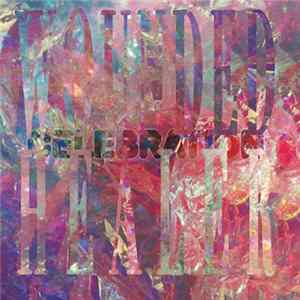 Celebration - Wounded Healer flac
