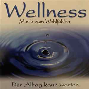 Unknown Artist - Wellness Musik Zum Wohlfühlen - In Der Ruhe Liegt Die Kraft! flac