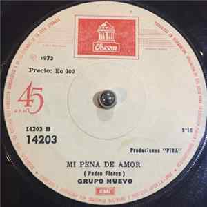 Grupo Nuevo - Mi Pena De Amor / Vibra La Tierra flac