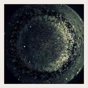 Saåad / Stray Ghost / Heinali / Koen Daigaku / Dictionary Of Ghosts - For Small Creatures Such As We flac