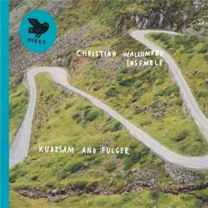 Christian Wallumrød Ensemble - Kurzsam And Fulger flac