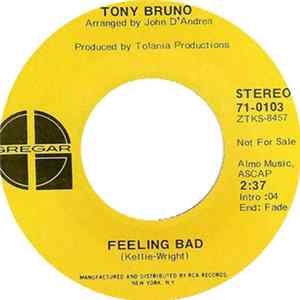 Tony Bruno - I've Got Enough Heartaches flac