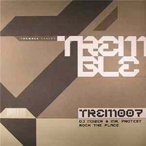 DJ Noizer & Mr. Protest - Rock The Place flac